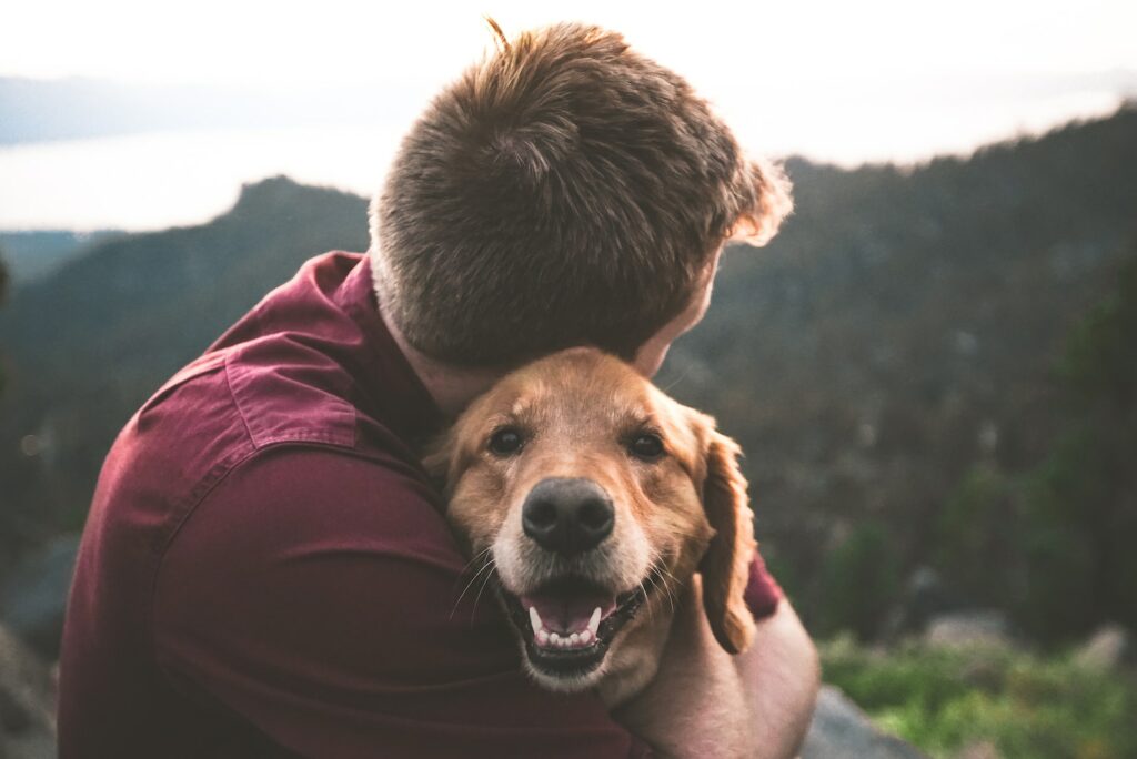 Ways To Tell Your Dog Loves You